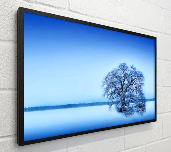 Blue Winter Tree
