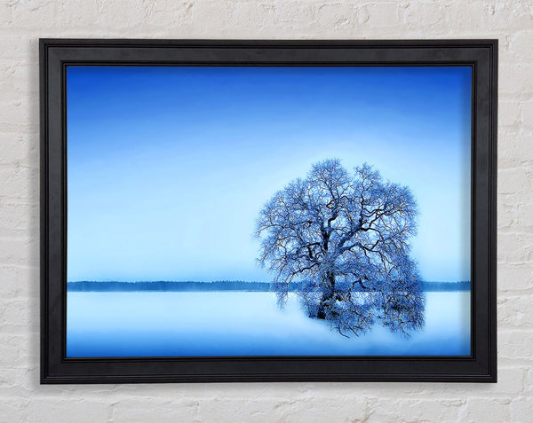 Blue Winter Tree Framed Print