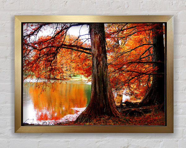 Autumn Orange River Reflections Framed Print
