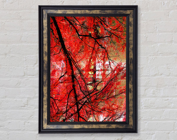 Red Autumn Trees Framed Print