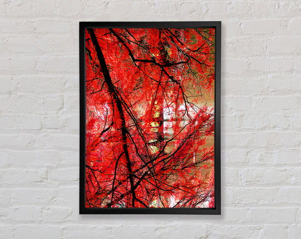Rote Herbstbäume