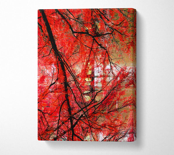 Red Autumn Trees Canvas Art