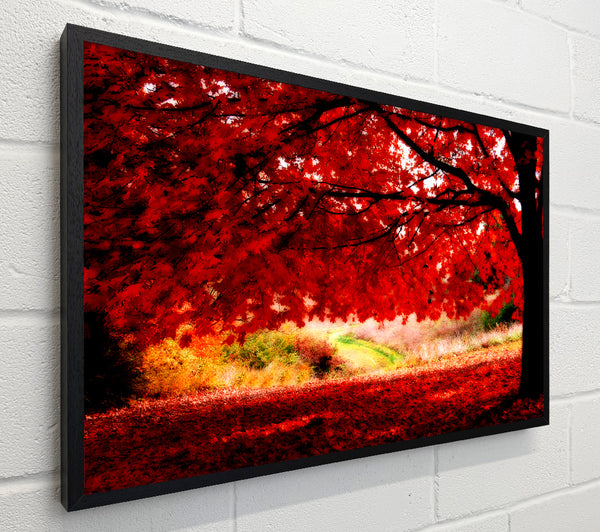 Red Autumn Tree