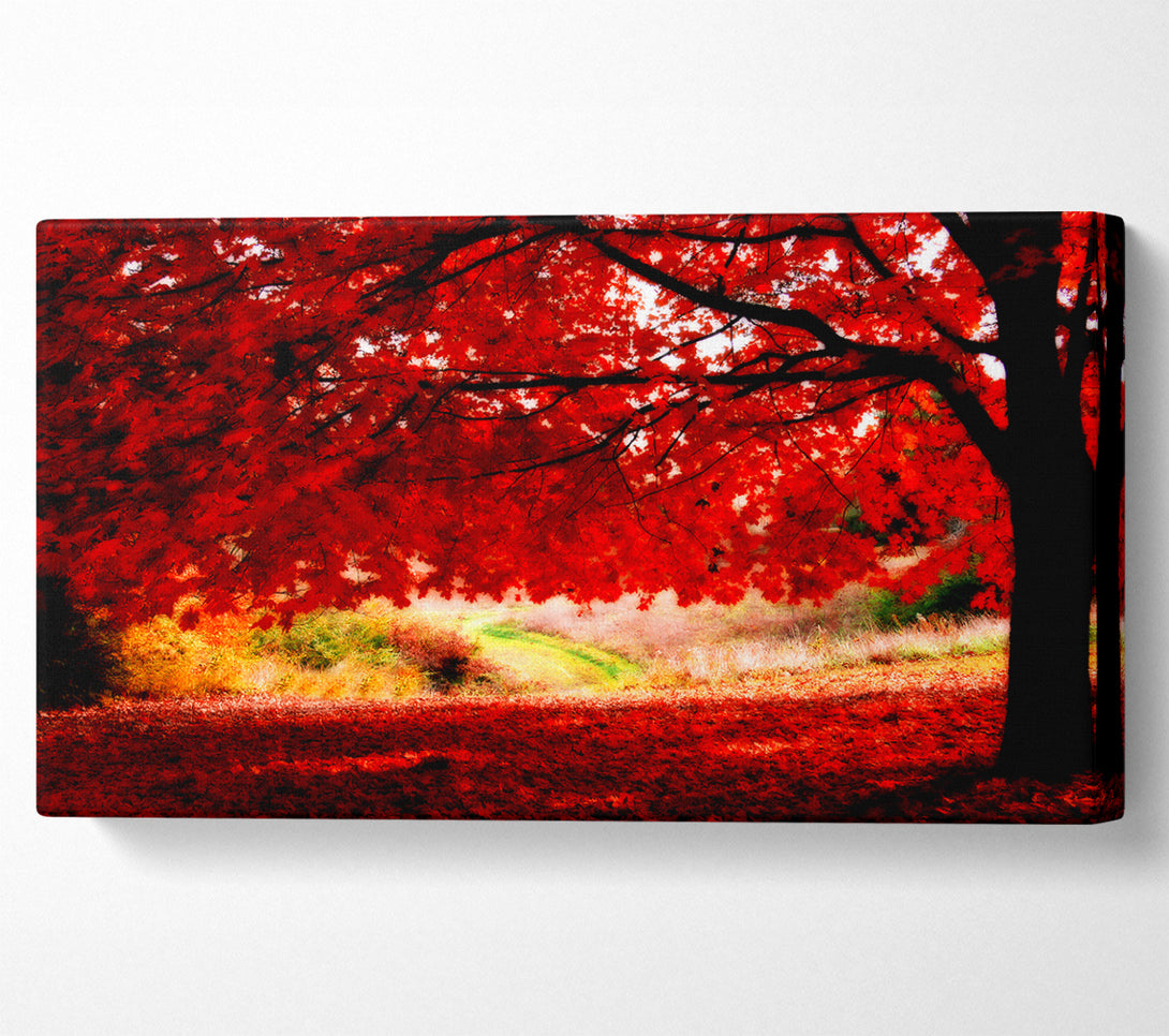  A Canvas Print of Red Autumn Tree Canvas Art