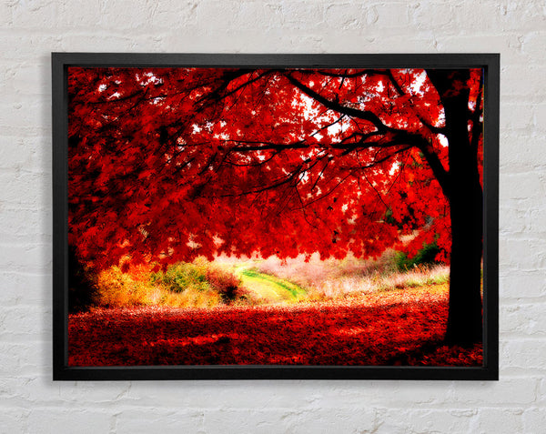Roter Herbstbaum