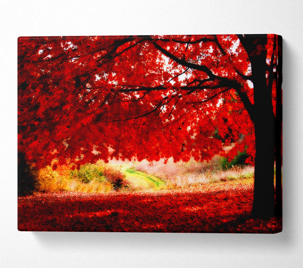 Red Autumn Tree Canvas Art