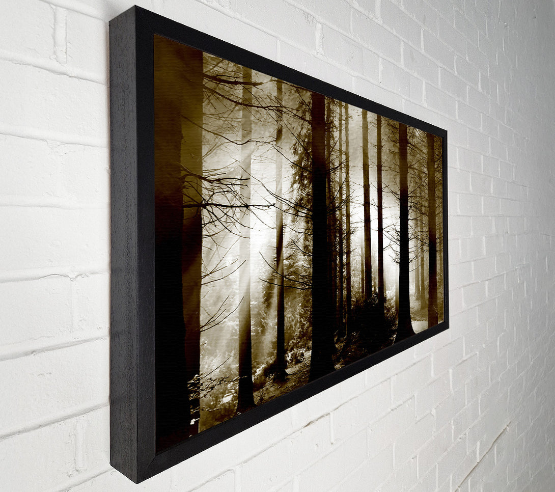  A Canvas Print of Secret Forrest Canvas Print