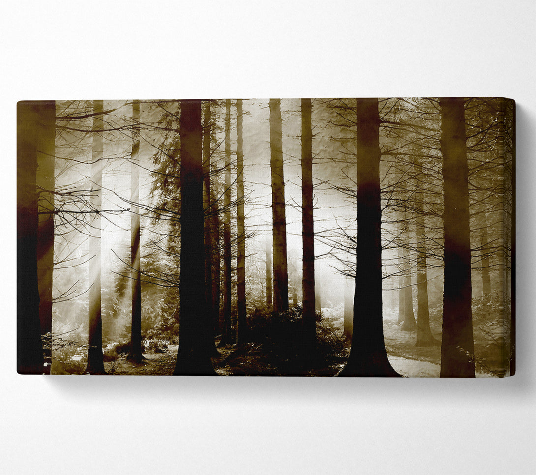  A Canvas Print of Secret Forrest Canvas Print