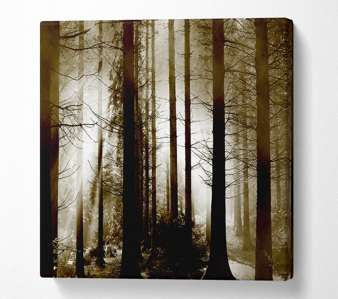  A Canvas Print of Secret Forrest Canvas Print