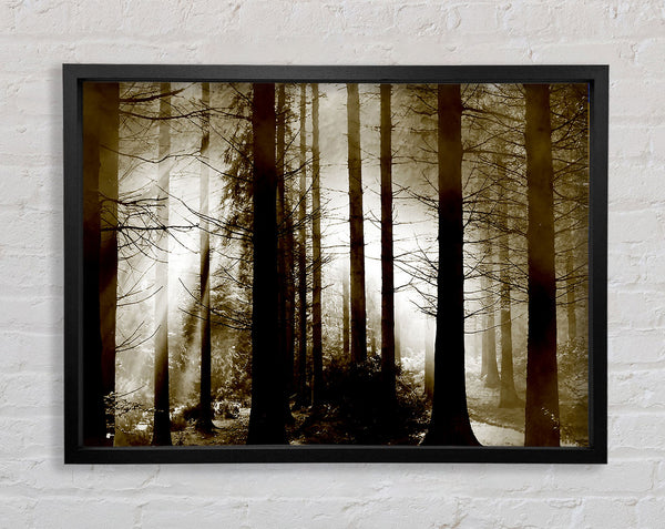 Geheimer Wald