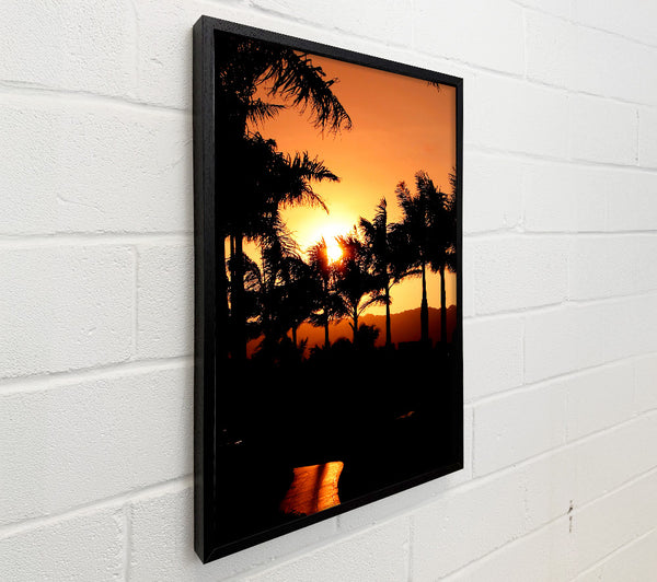 Orange Palm Tree Sun Glow