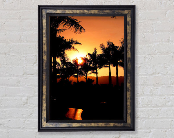 Orange Palm Tree Sun Glow Framed Print