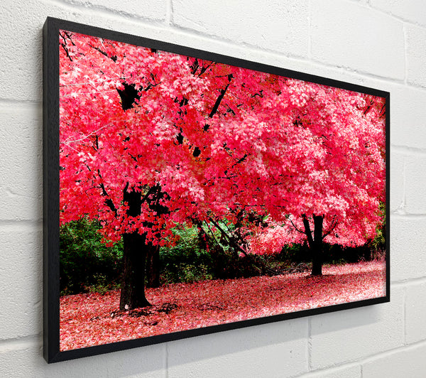 Pink Tree Heaven