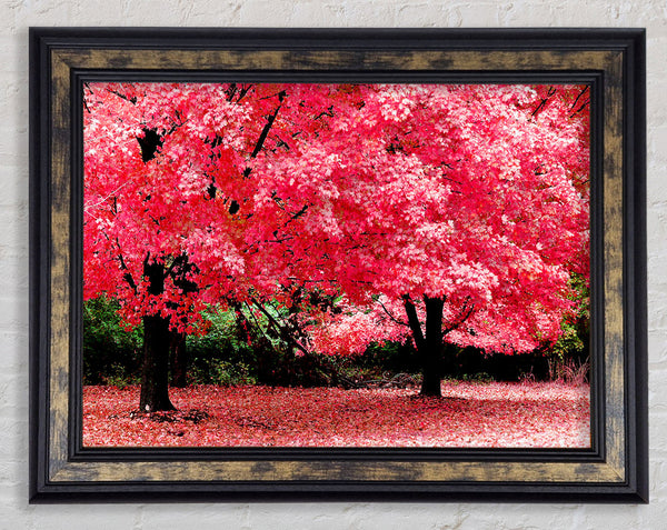 Pink Tree Heaven Framed Print