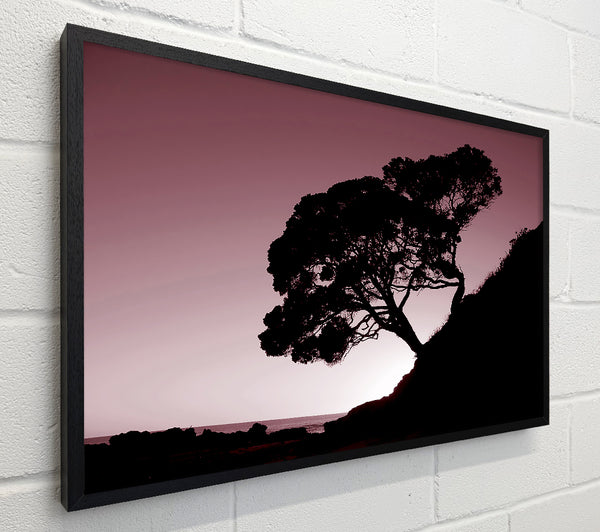 Mauve Tree
