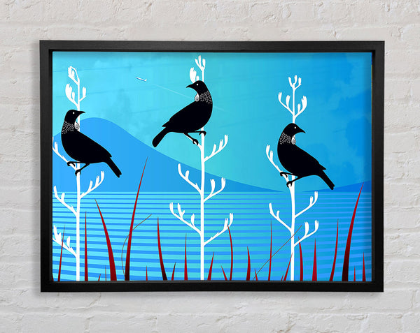 Tui-Vögel