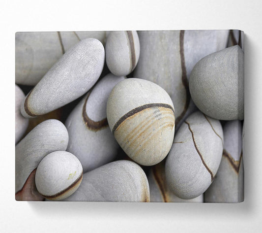 Rocks Canvas Wall Art