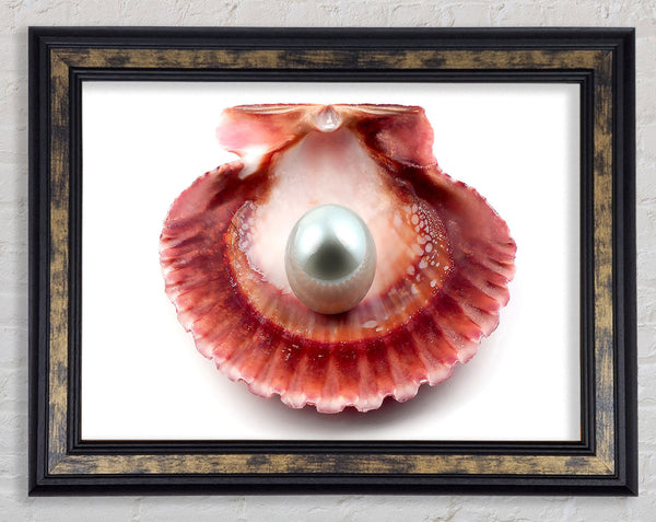Pearl Framed Print