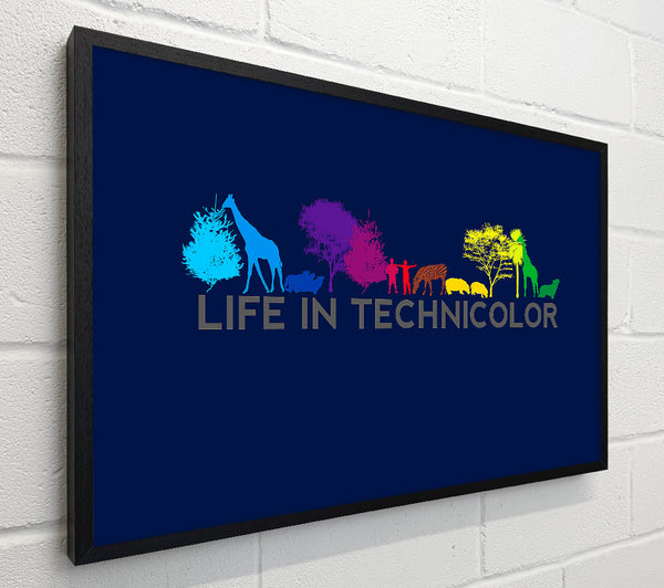 Life In Technicolor