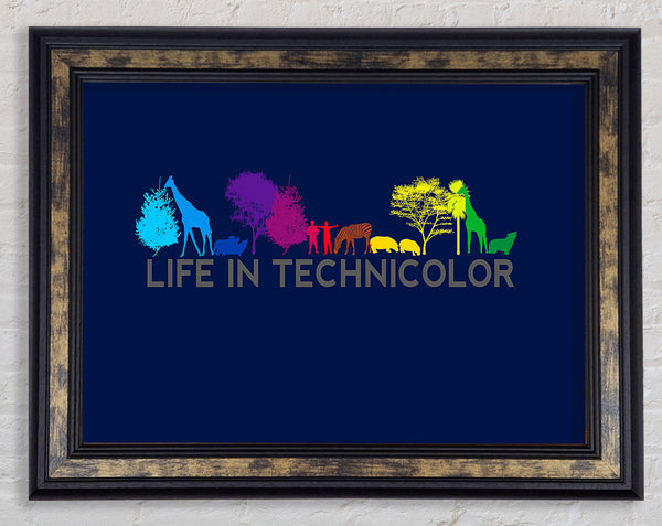 Life In Technicolor Framed Print