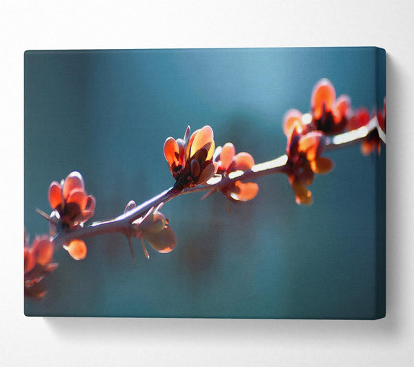 A Canvas Print of Spikey Flower Branch Canvas Art