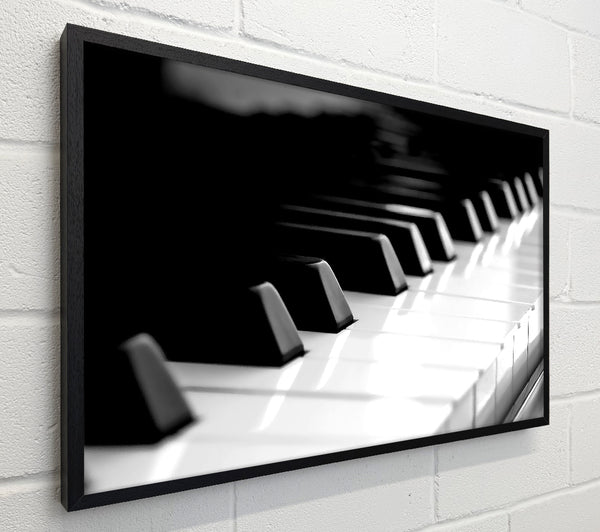 Piano Keyboard