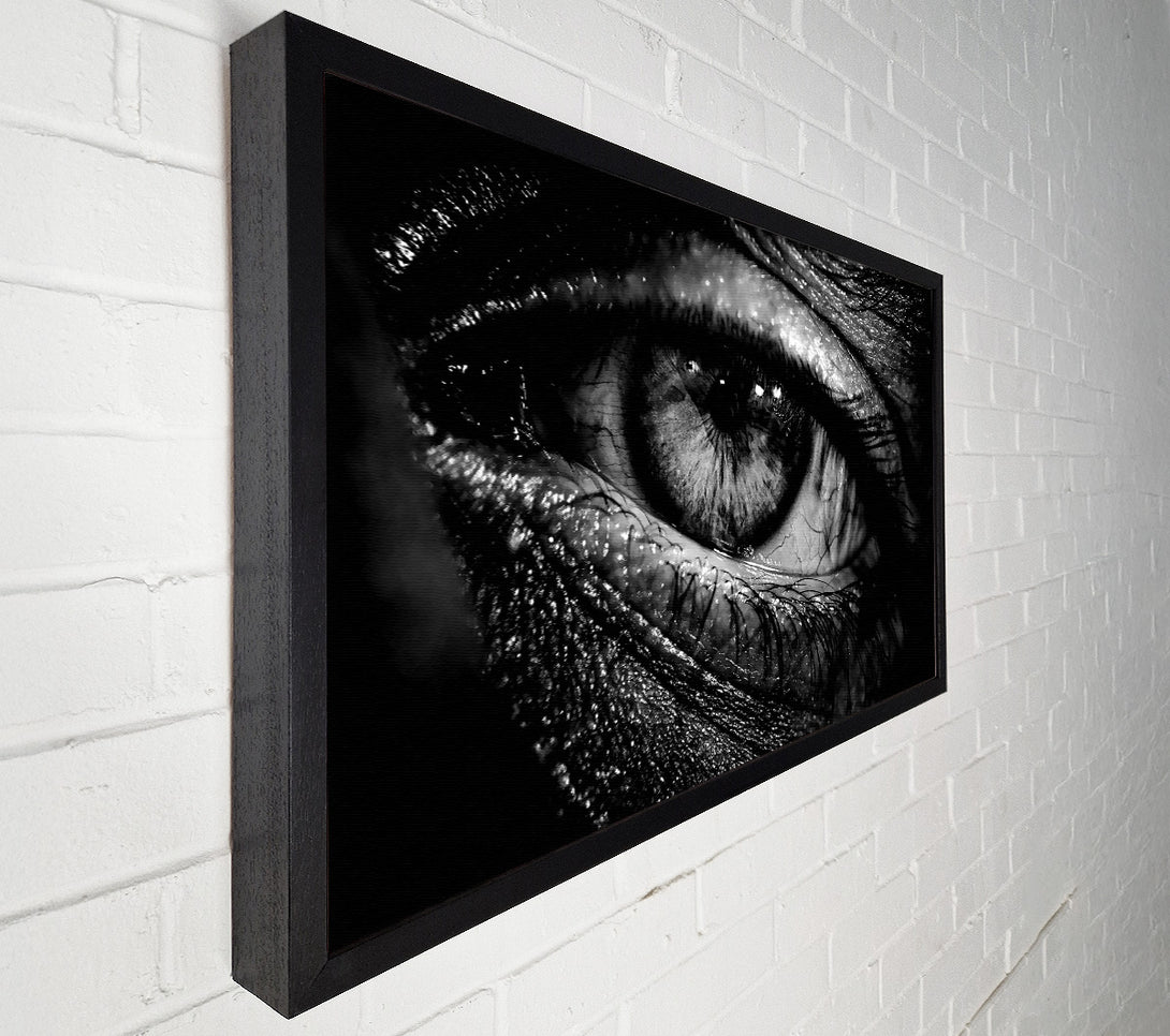  A Canvas Print of The Eye Of Knowledge Canvas Art