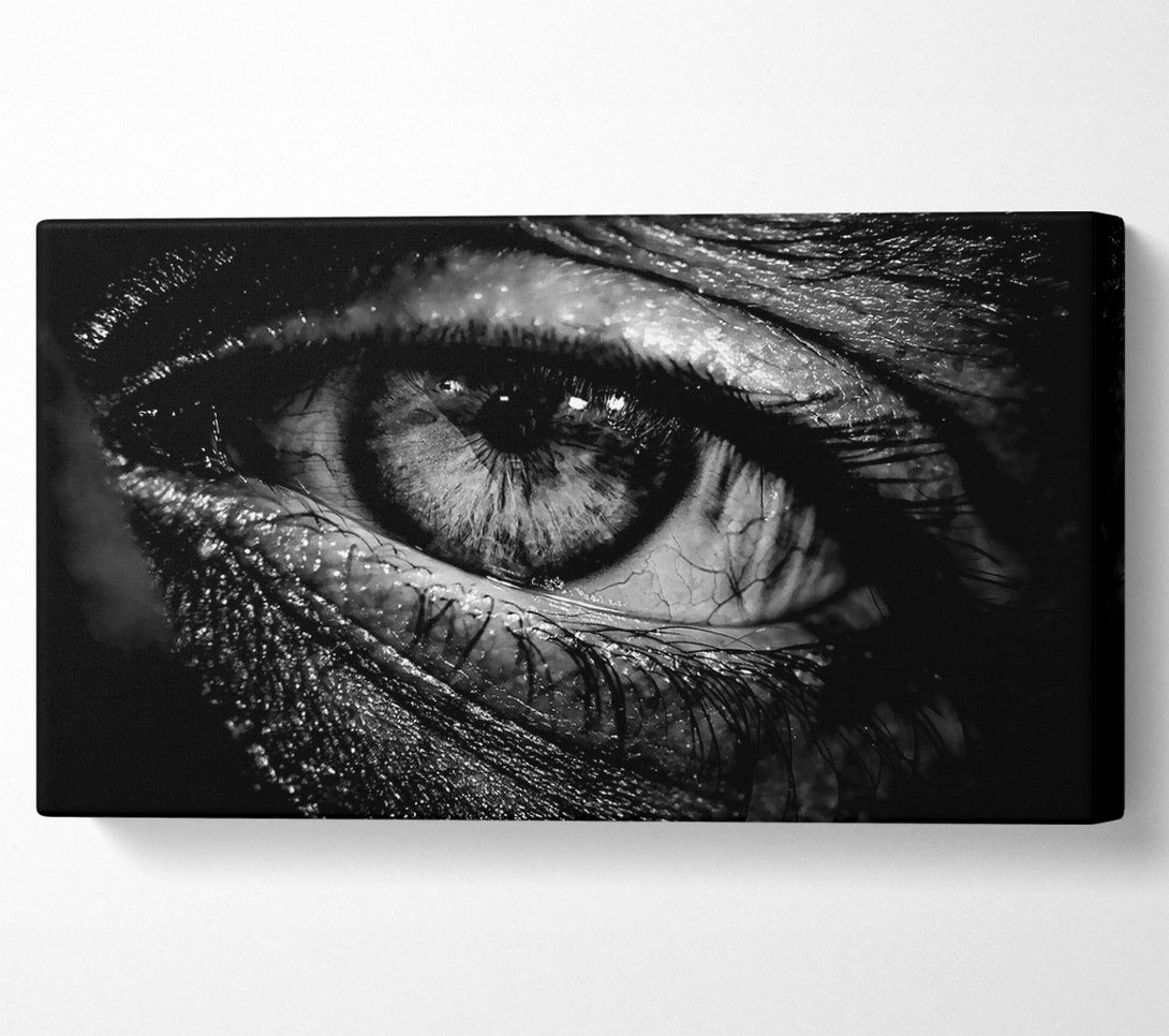  A Canvas Print of The Eye Of Knowledge Canvas Art