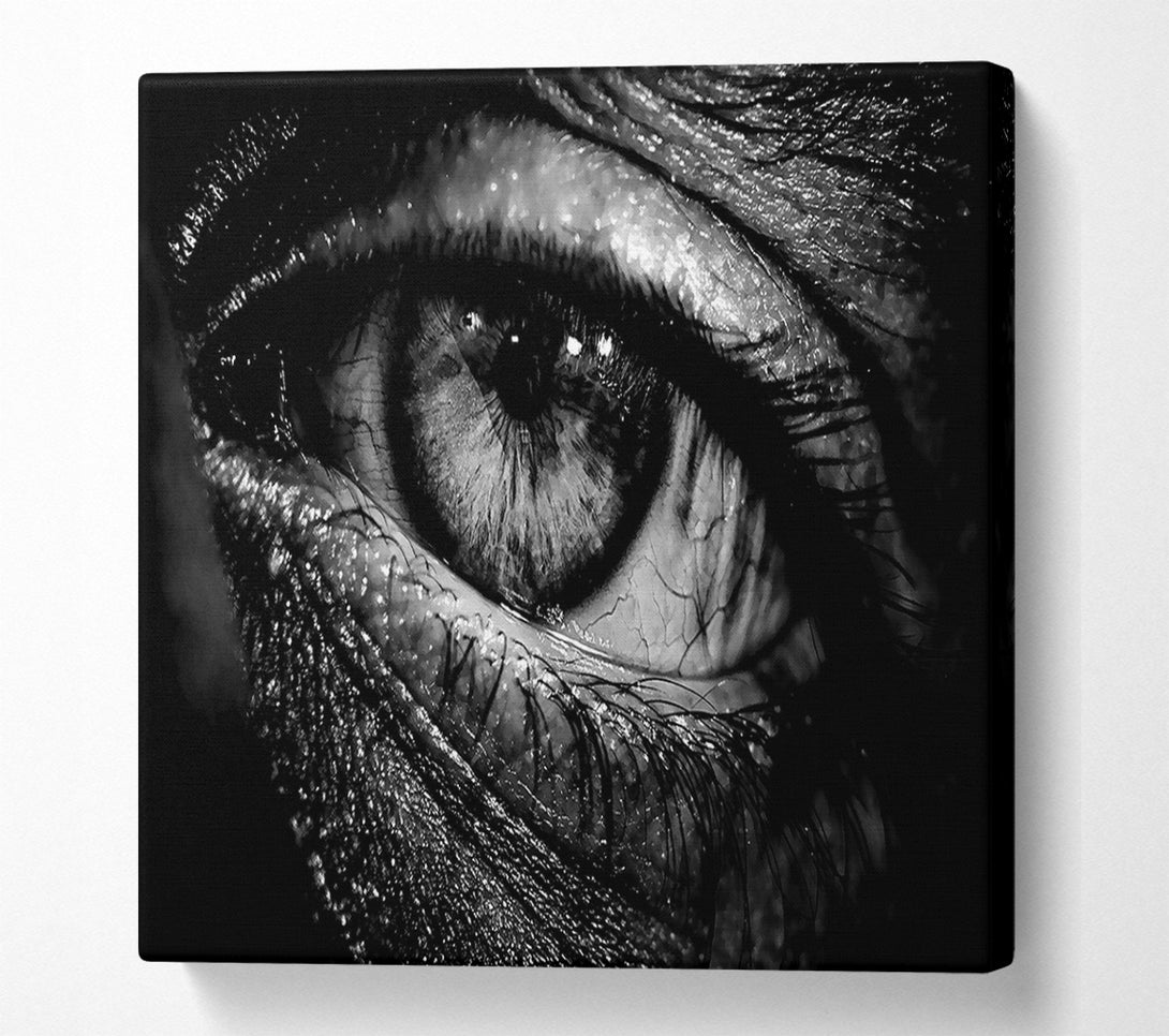  A Canvas Print of The Eye Of Knowledge Canvas Art