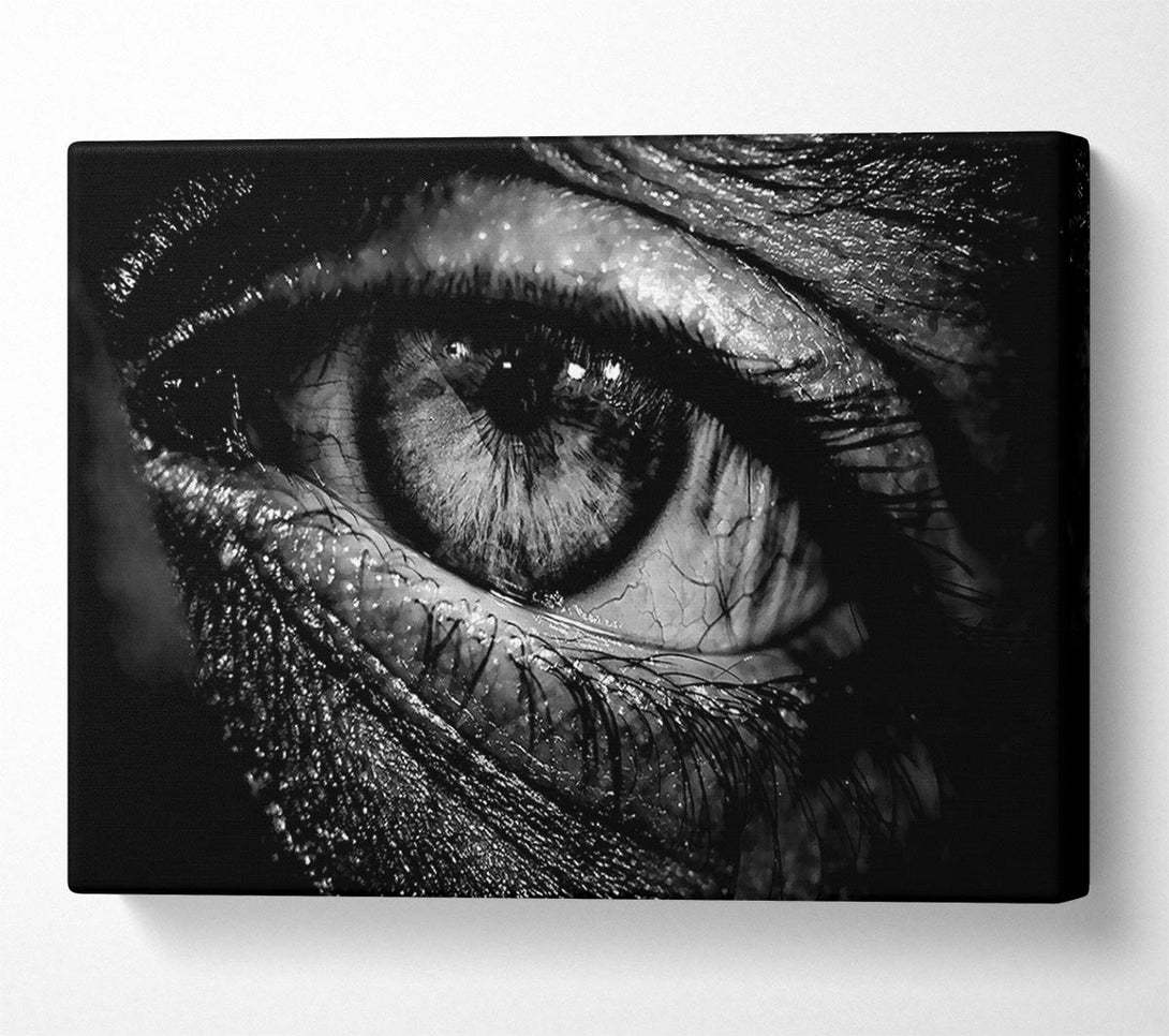  A Canvas Print of The Eye Of Knowledge Canvas Art