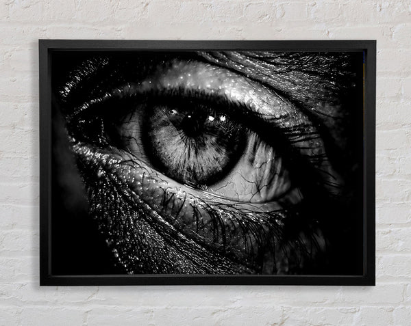 Das Auge des Wissens