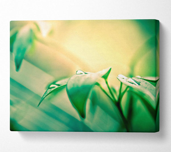  A Canvas Print of You Are Beautiful Canvas Art