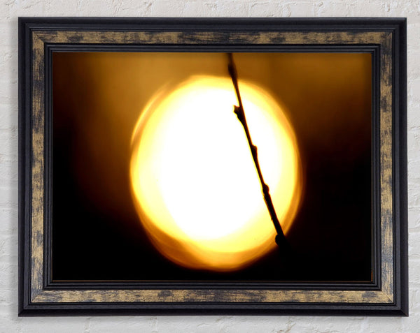 Light Framed Print