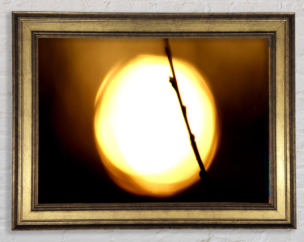 Licht
