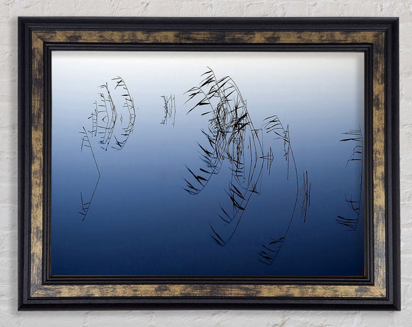 Pond Reeds Framed Print