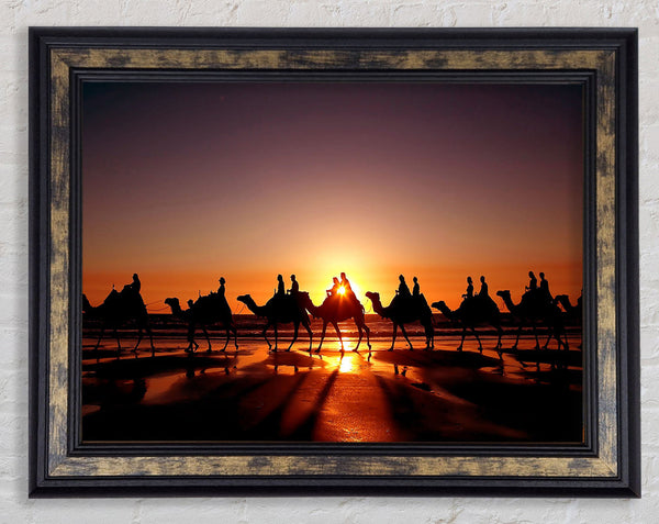 Camel Caravan Framed Print