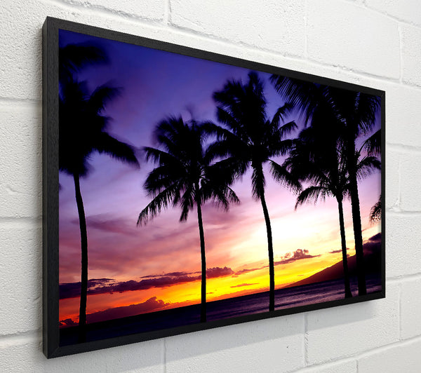Palm Trees Sunset