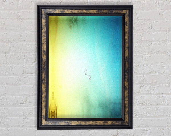 Family Of Birds Framed Print