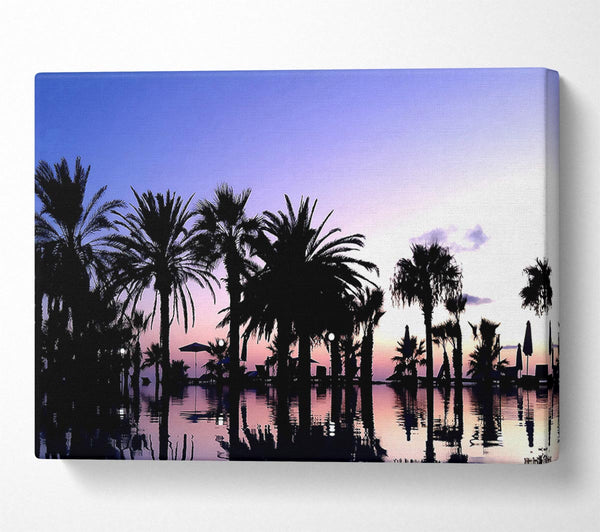 Purple Paradise