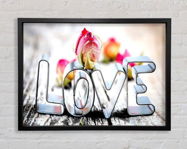 Valentinstag Liebe Rose