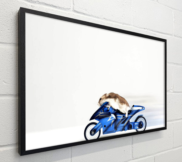 Mouse Riding Motorcycle