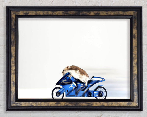 Mouse Riding Motorcycle Framed Print