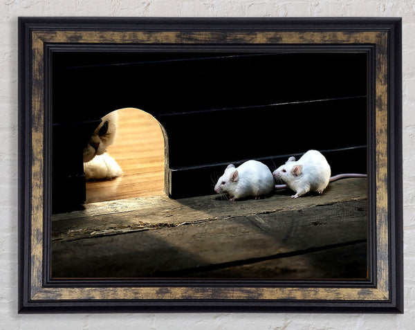 Cat And Mice