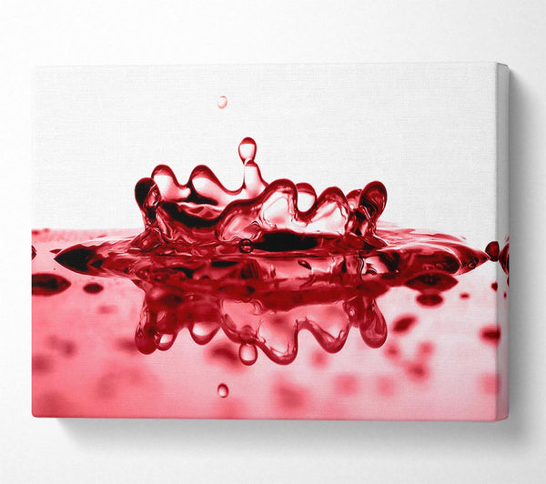 Red Juice Canvas Wall Art