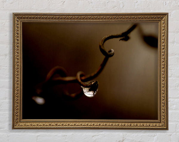 Drop Of Water Brown Framed Print