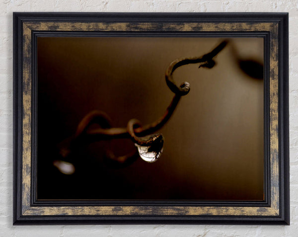 Drop Of Water Brown Framed Print