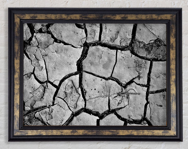 Cracked Mud Framed Print