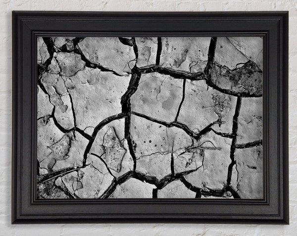 Cracked Mud