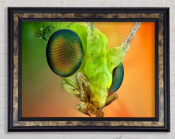 Macro Eyes Framed Print