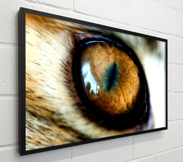Mordor Eye